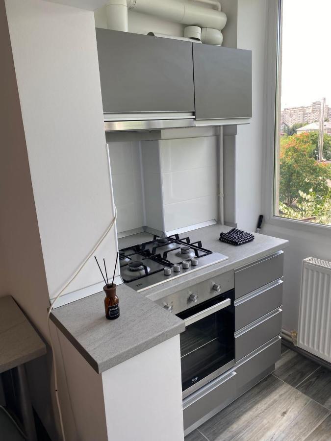 Alesandru Apartament Πιτέστι Εξωτερικό φωτογραφία
